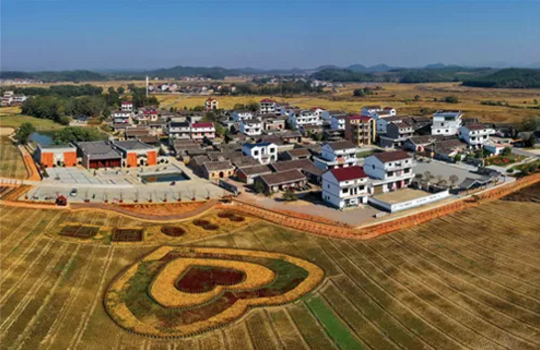 全力助推江西撫州金溪縣委托招商引資，加快建設現(xiàn)代生態(tài)產業(yè)新城